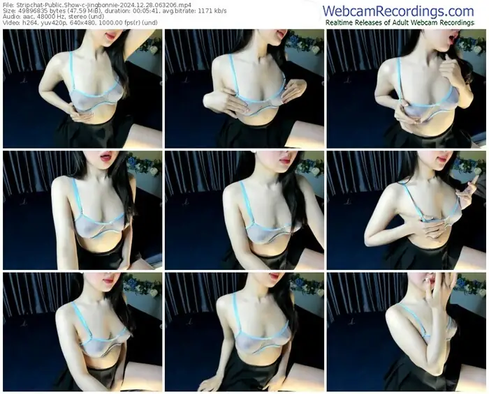 stripchat-jingbonnie-12-28-2024-06-32-06