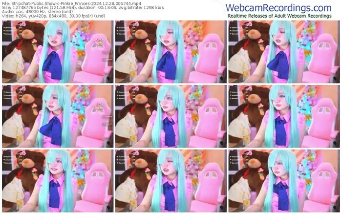 stripchat-pinkie_princes-12-28-2024-00-57-44
