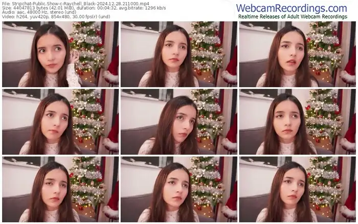 stripchat-raychell_black-12-28-2024-21-10-00