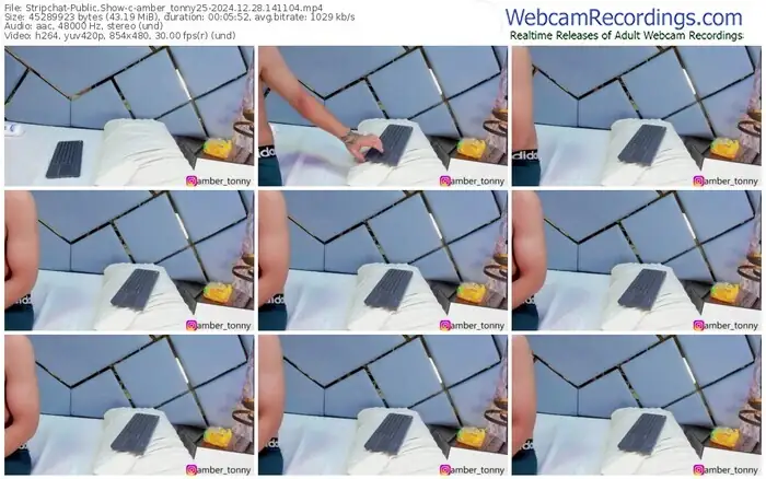 stripchat-amber_tonny25-12-28-2024-14-11-04