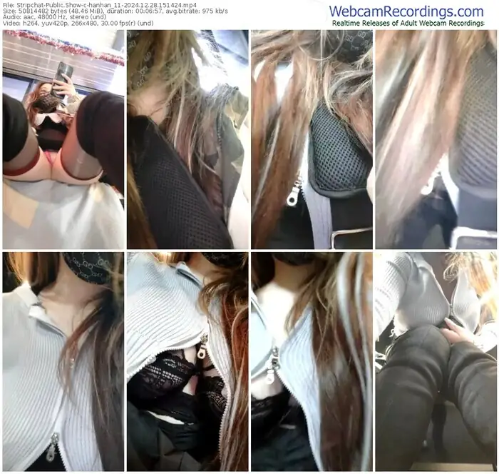 stripchat-hanhan_11-12-28-2024-15-14-24