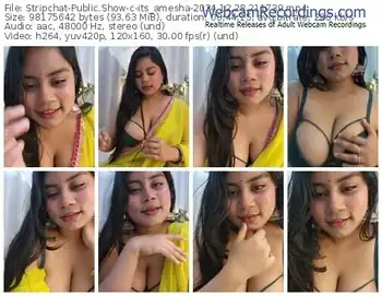 stripchat-its_amesha-12-28-2024-21-17-39