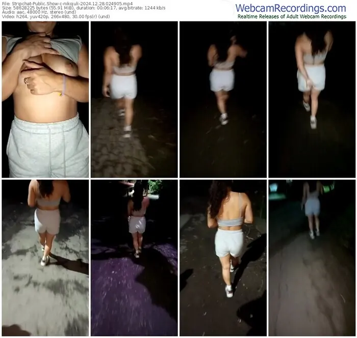 stripchat-nikojuli-12-28-2024-02-49-05