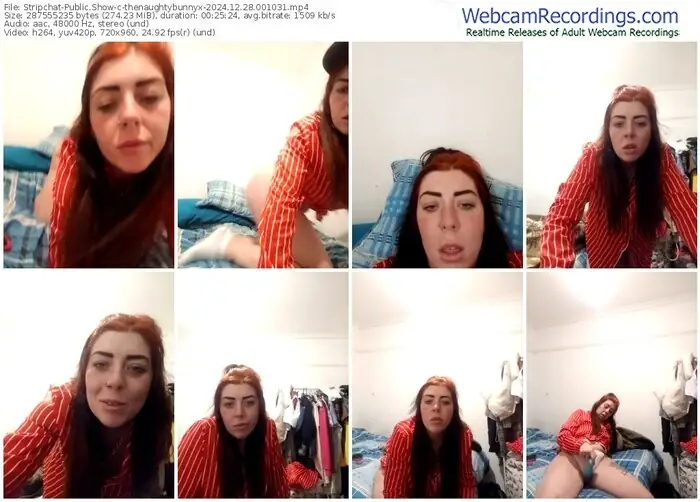 stripchat-thenaughtybunnyx-12-28-2024-00-10-31