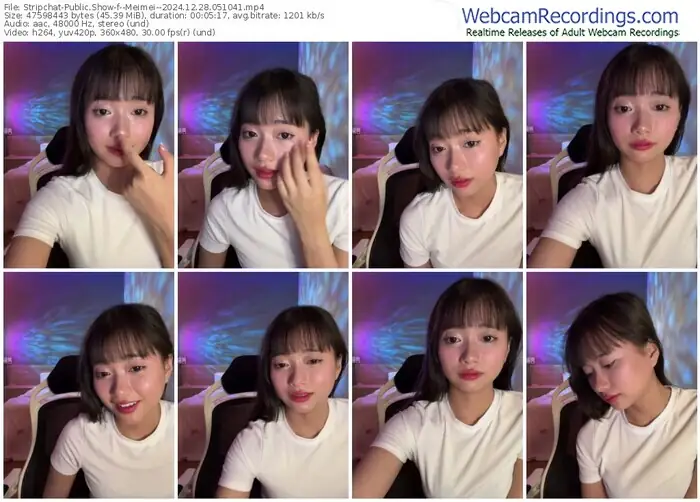 stripchat--meimei--12-28-2024-05-10-41