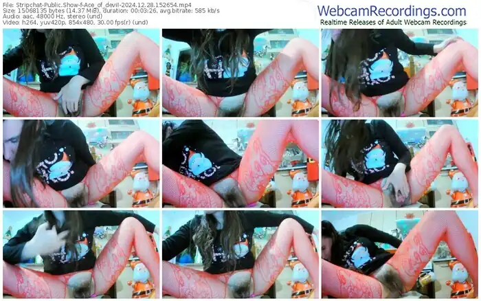 stripchat-ace_of_devil-12-28-2024-15-26-54