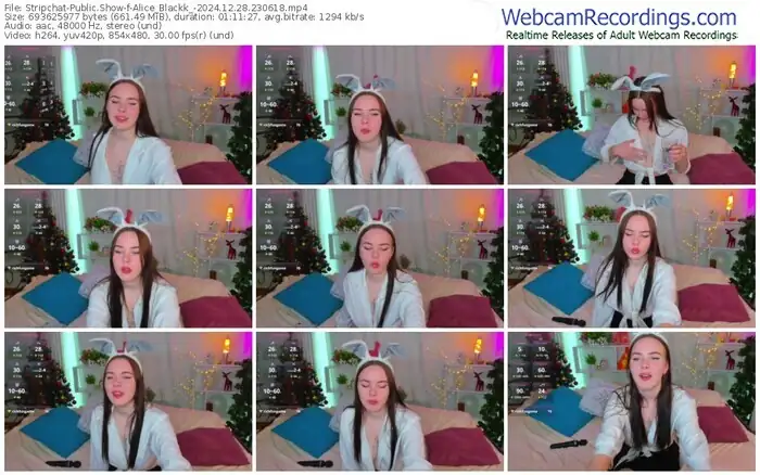 stripchat-alice_blackk_-12-28-2024-23-06-18