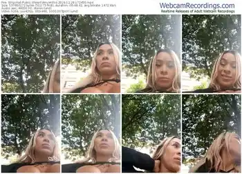 stripchat-amywillss-12-28-2024-17-24-55