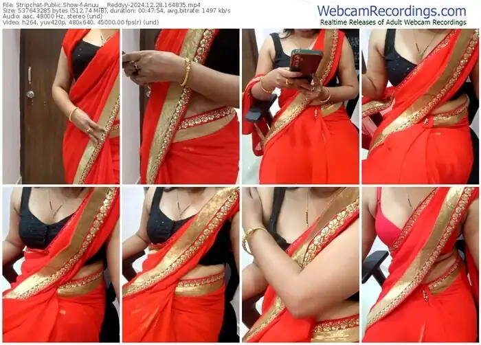 stripchat-anuu___reddyy-12-28-2024-16-48-35