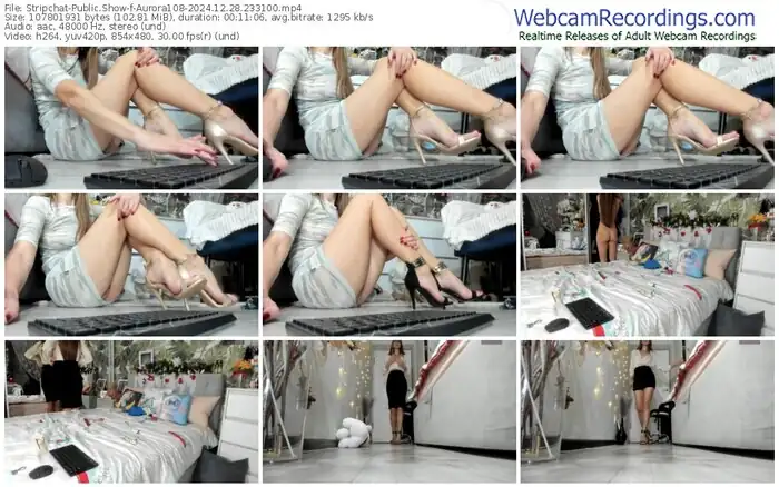 stripchat-aurora108-12-28-2024-23-31-00