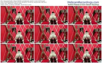 stripchat-bdsm_vantablack2-12-28-2024-15-21-05