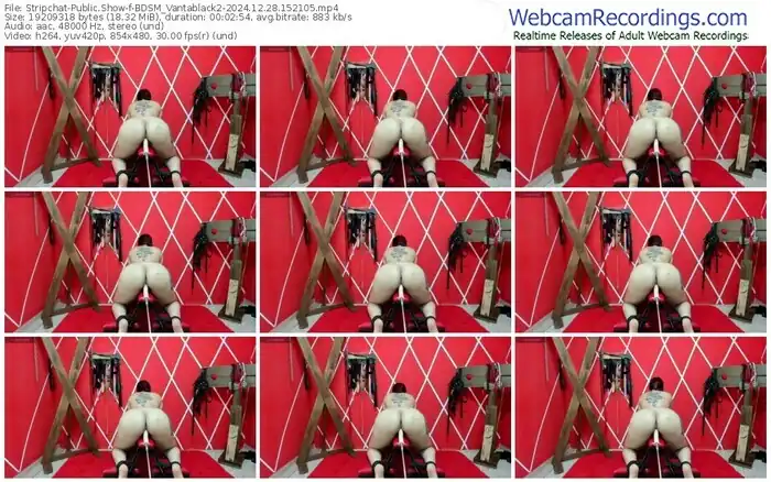 stripchat-bdsm_vantablack2-12-28-2024-15-21-05