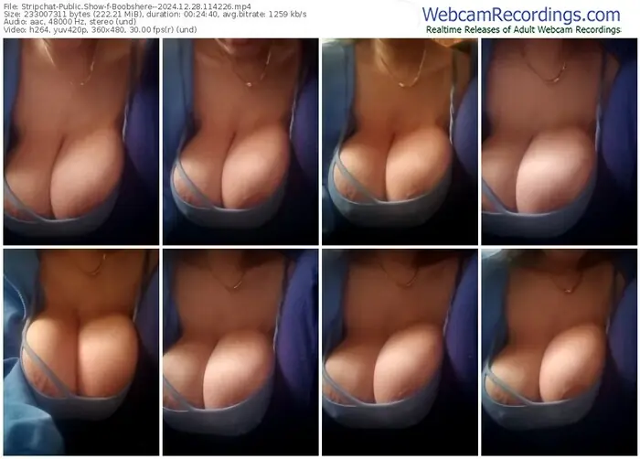 stripchat-boobshere--12-28-2024-11-42-26