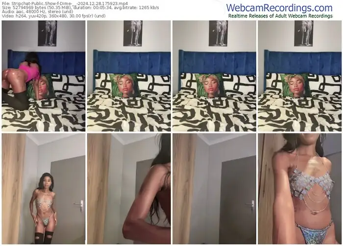 stripchat-dime-__-12-28-2024-17-59-23