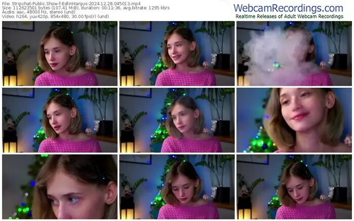 stripchat-edlinhargus-12-28-2024-04-50-13