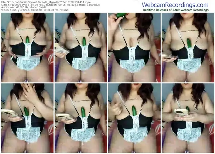 stripchat-farawla_elgmda-12-28-2024-13-14-04