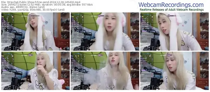 stripchat-fine-sand-12-28-2024-14-54-30