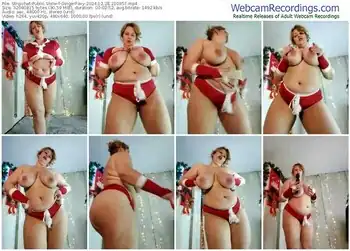 stripchat-gingerfoxy-12-28-2024-21-09-57