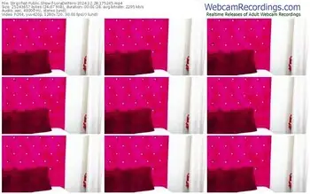 stripchat-loradelniro-12-28-2024-17-52-45