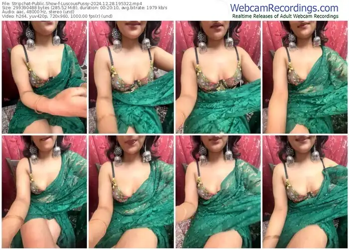 stripchat-luscouspussy-12-28-2024-19-53-22