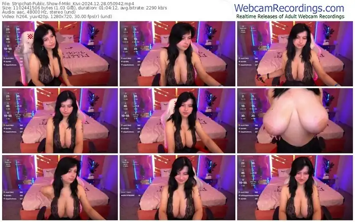 stripchat-miki_kivi-12-28-2024-05-09-42