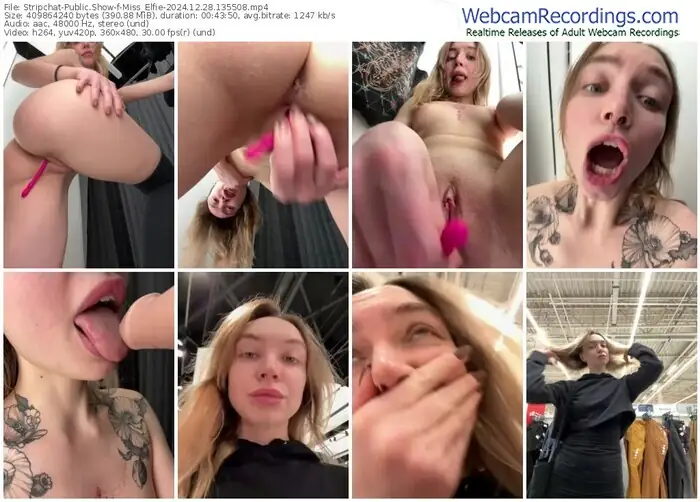 stripchat-miss_elfie-12-28-2024-13-55-08