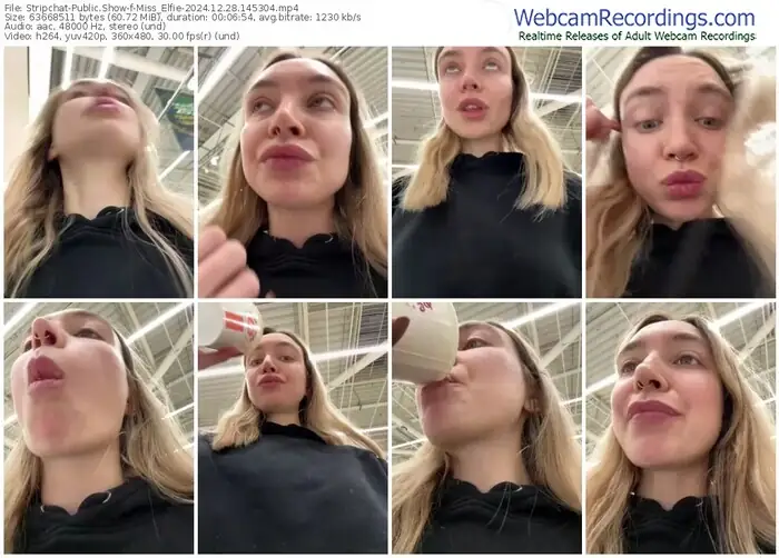 stripchat-miss_elfie-12-28-2024-14-53-04