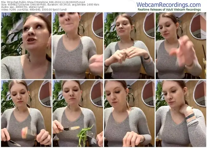 stripchat-morphine_666-12-28-2024-06-00-25