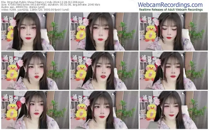 stripchat-nancy-cindy-12-28-2024-01-12-08