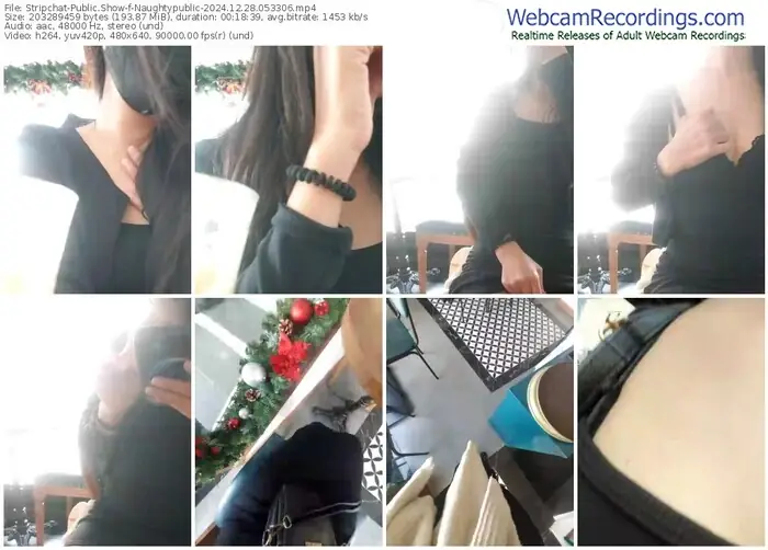 stripchat-naughtypublic-12-28-2024-05-33-06