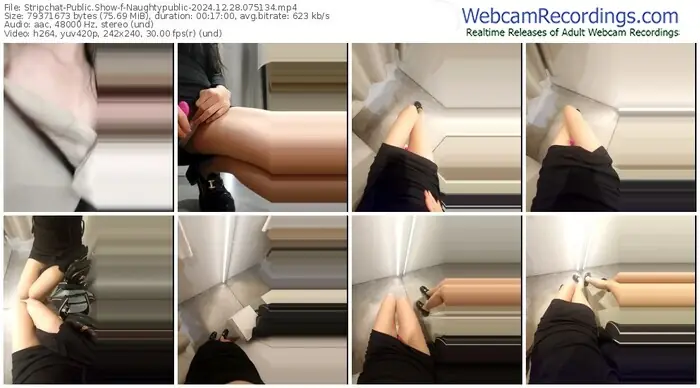 stripchat-naughtypublic-12-28-2024-07-51-34
