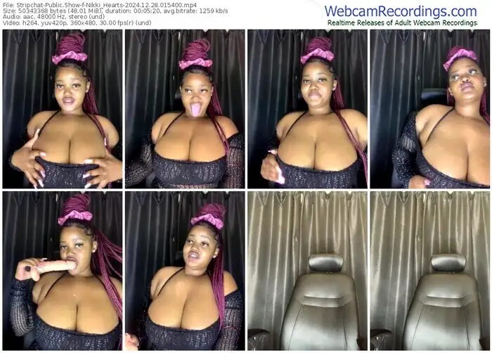 stripchat-nikki_hearts-12-28-2024-01-54-00