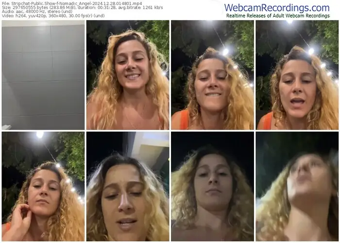 stripchat-nomadic_angel-12-28-2024-01-48-01