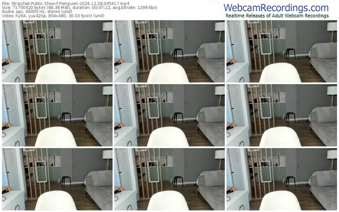 stripchat-pompumi-12-28-2024-04-54-17