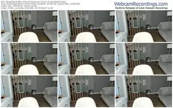 stripchat-pompumi-12-28-2024-04-56-04