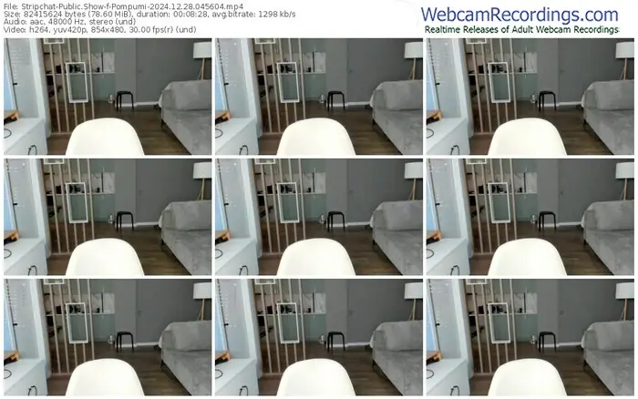 stripchat-pompumi-12-28-2024-04-56-04