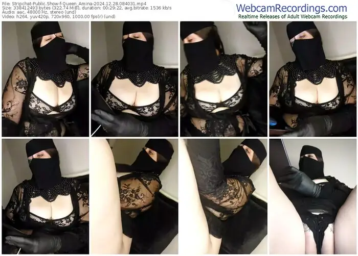 stripchat-queen_amina-12-28-2024-08-40-31
