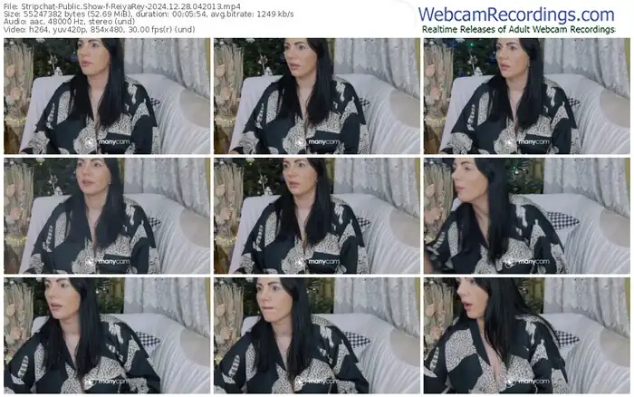 stripchat-reiyarey-12-28-2024-04-20-13