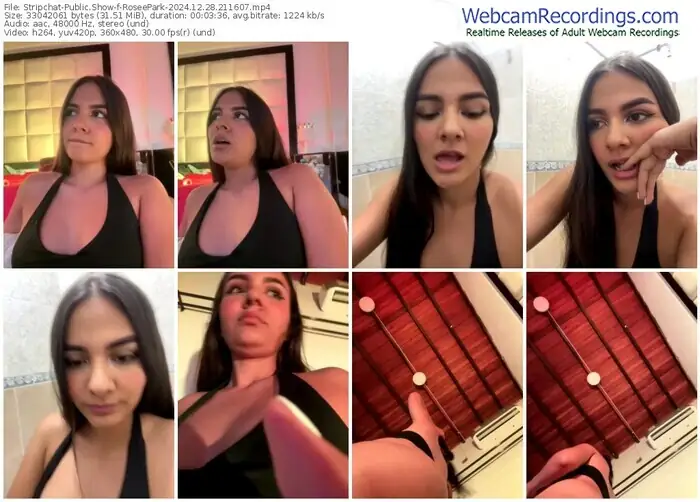 stripchat-roseepark-12-28-2024-21-16-07