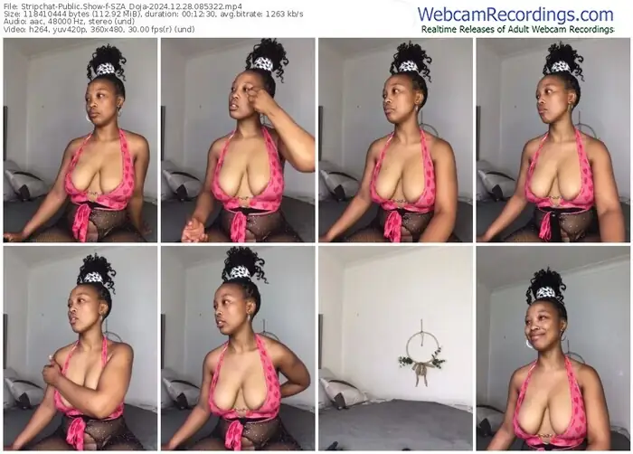 stripchat-sza_doja-12-28-2024-08-53-22