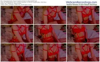 stripchat-saillise-12-28-2024-01-24-28
