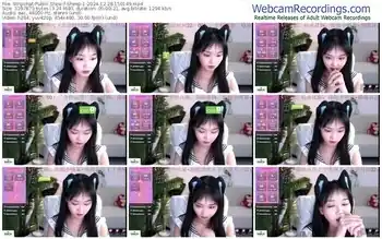 stripchat-sheep-1-12-28-2024-15-01-49