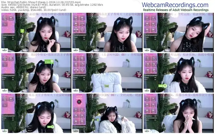 stripchat-sheep-1-12-28-2024-23-15-55