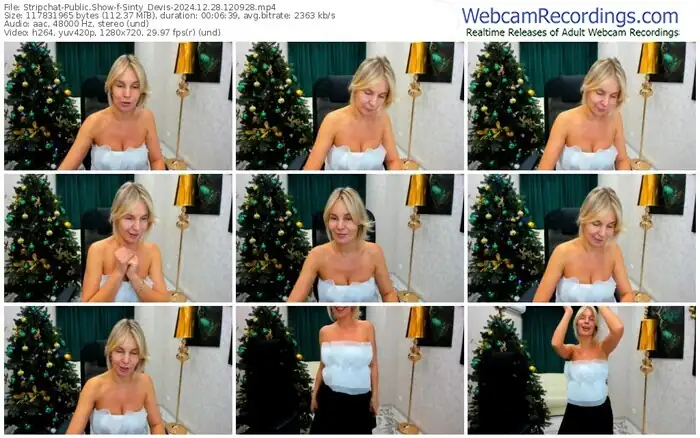 stripchat-sinty_devis-12-28-2024-12-09-28