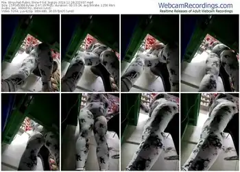 stripchat-sol_biglips-12-28-2024-22-29-37