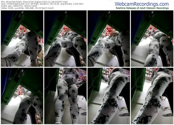 stripchat-sol_biglips-12-28-2024-22-29-37