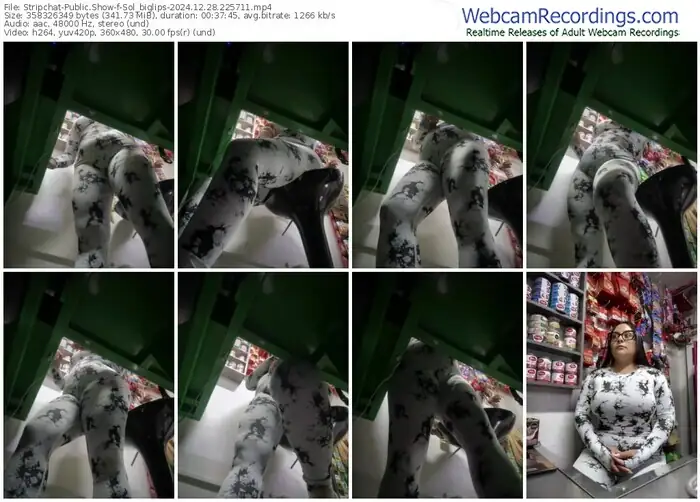 stripchat-sol_biglips-12-28-2024-22-57-11