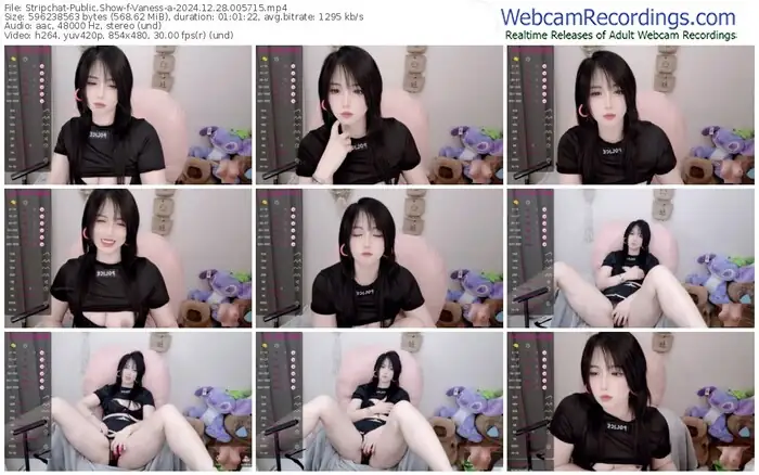 stripchat-vaness-a-12-28-2024-00-57-15