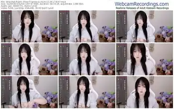 stripchat-vaness-a-12-28-2024-17-31-47