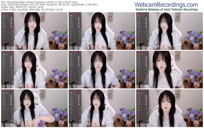stripchat-vaness-a-12-28-2024-17-31-47